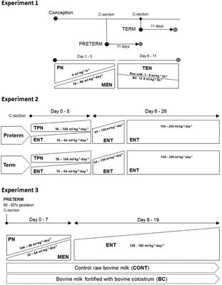 Exocrine Pancreatic Maturation in Pre-term and Term Piglets Supplemented With Bovine Colostrum